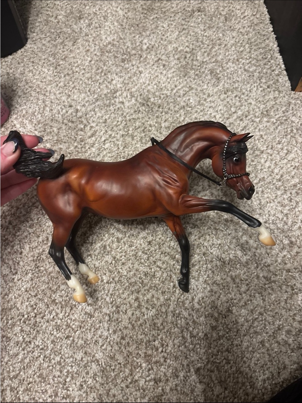 Retired Breyer Horse #1794 Empres++++  Bay Ashquar Champion Arabian Stallion